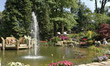 Summer Lodge Country House Hotel - Sud Ovest dell'Inghilterra - Dorset