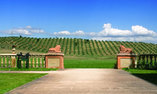 L'Andana Tenuta la Badiola, Tuscany, Castiglione della Pescaia
