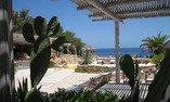 La Calandra - Sicilia - Lampedusa Isola