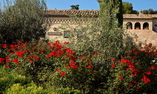 Borgo Storico Seghetti Panichi, Marcas, Castel di Lama