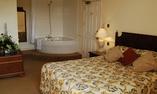 Melville Castle Hotel - Edinburgh and Lothian - Edinburgh