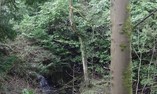 Carriden House - Edimburgo e i Lothians - Carriden