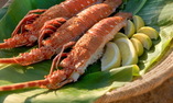 La Sultana Oualidia - Oualidia - Oualidia
