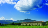L'Andana Tenuta la Badiola, Tuscany, Castiglione della Pescaia