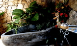 Villa Armony Beauty Clinical Hotel, Sardegna, Arzachena - Porto Cervo