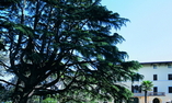Alla Posta dei Donini & Spa - Umbria - Perugia
