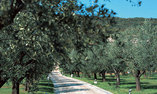 Villa Arcadio Hotel & Resort - Lago di Garda - Sal�