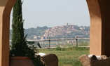 Relais Sant' Elena - Toscana - Bibbona