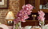 Relais alla Corte del Sole, Umbria, Castiglione del Lago