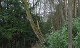 Carriden House - Edimburgo e i Lothians - Carriden