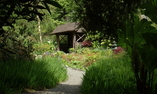Cashel House Hotel - La regione dello Shannon - Cashel