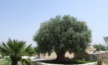Relais Torre Marabino - Sicily - Ispica