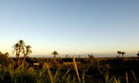 Tsar Masa - Marrakech y Alrededores - Marrakech