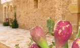 Relais Baglio Donna Franca - Sicilia - Marsala