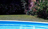 Appartamento del Doge, Venetien, Piombino Dese