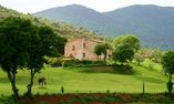 Relais Tenuta Del Gallo  - Umbria - Amelia