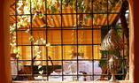 H�tel le Roi Th�odore - Corsica - Porto-Vecchio