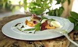 Auberge de Noves - Provenza - Noves