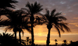 Tsar Masa - Marrakech y Alrededores - Marrakech
