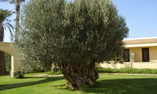 Dis�o Resort, Sizilien, Marsala