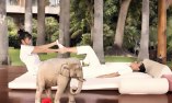 Hotel Botanico & The Oriental Spa Garden - Canaries - T�n�rife
