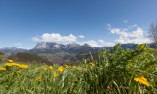 Chalet Grumer Suites & Spa - Trentino Alto Adige - Renon