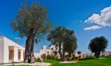Furnirussi Tenuta - Apulia - Carpignano Salentino