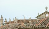 Atrio Restaurante Hotel - Extremadura - C�ceres