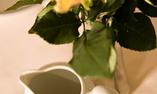 H�tel Parc Saint S�verin - Paris Ile-de-France - Par�s