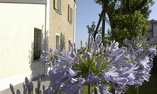 Hotel Villa Roncuzzi, Emilia-Romagna, Russi