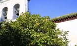 Hacienda Benazuza Elbullihotel - Andaluc�a - Sanl�car la Mayor
