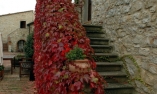 Il Borgo di Vescine - Toscane - Radda in Chianti
