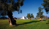 Masseria Torre Maizza, Apulia, Fasano