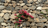 Pantelleria Dream Exclusive Hotel - Sicily - Pantelleria Island