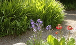 Cashel House Hotel - La regione dello Shannon - Cashel