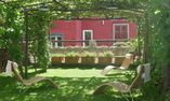 Albergo la Vigna, Campania, Procida - Isole Flegree