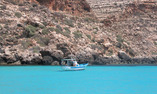 La Calandra - Sicilia - Lampedusa Isola