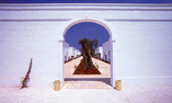 Masseria Torre Maizza, Apulia, Fasano