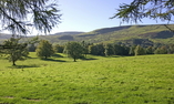 Culcreuch Castle Hotel - West Highlands and Islands, Loch Lomond, Stirling and Trossachs - Fintry