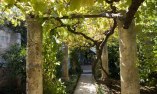 Masseria Marzalossa - Puglia - Fasano