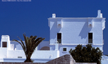 Masseria Torre Maizza, Apulia, Fasano
