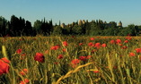 H�tel de la Cit� - Languedoc - Roussillon - Carcassonne