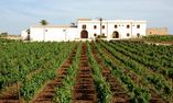 Relais Baglio Donna Franca - Sicilia - Marsala