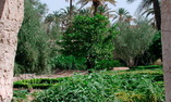 Ksar Char-Bagh - Marrakech e dintorni - Marrakech