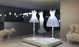 Maison Moschino - Lombardia - Milano