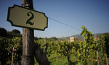 Tenuta La Ghiaia - Ligurien - Sarzana