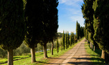 Villa Armena Relais & Beauty Farm - Toscane - Buonconvento