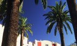 Hotel Prestige Palmera Plaza - Andaluc�a - Jerez de la Frontera