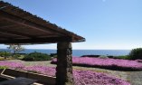 Relais Euterpini - Sicilia - Pantelaria Isla