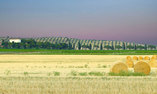L'Andana Tenuta la Badiola, Toscane, Castiglione della Pescaia